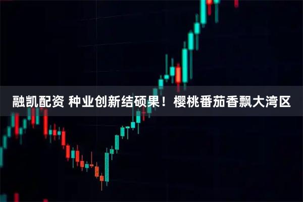 融凯配资 种业创新结硕果！樱桃番茄香飘大湾区