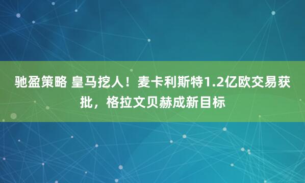 驰盈策略 皇马挖人！麦卡利斯特1.2亿欧交易获批，格拉文贝赫成新目标