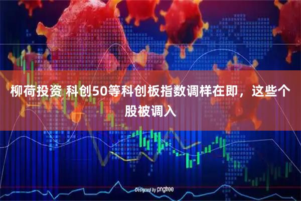 柳荷投资 科创50等科创板指数调样在即,这些个股被调入